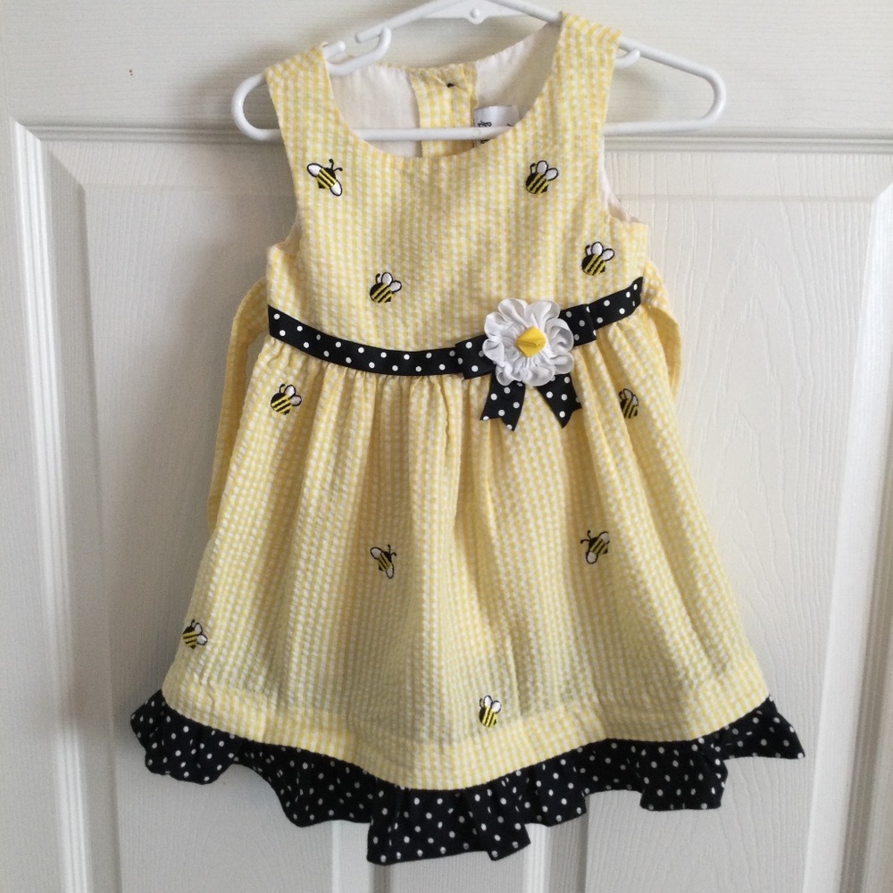 Counting Daisies Dress, Size 2T, Bumble Bee Themed